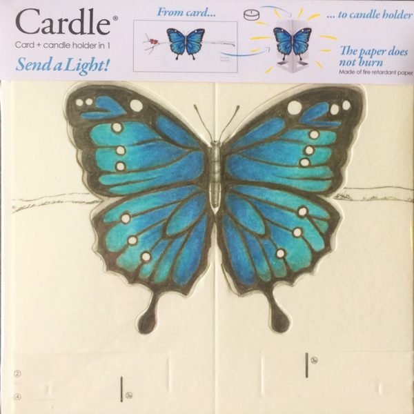 mayves-cardle-bright-butterfly-blue