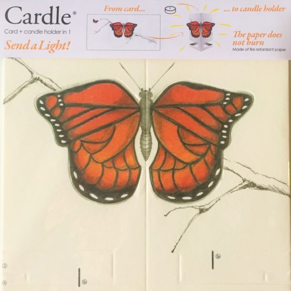 mayves-cardle-bright-butterfly-orange