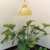 BIG HUG LAMP - lemon - Image 2