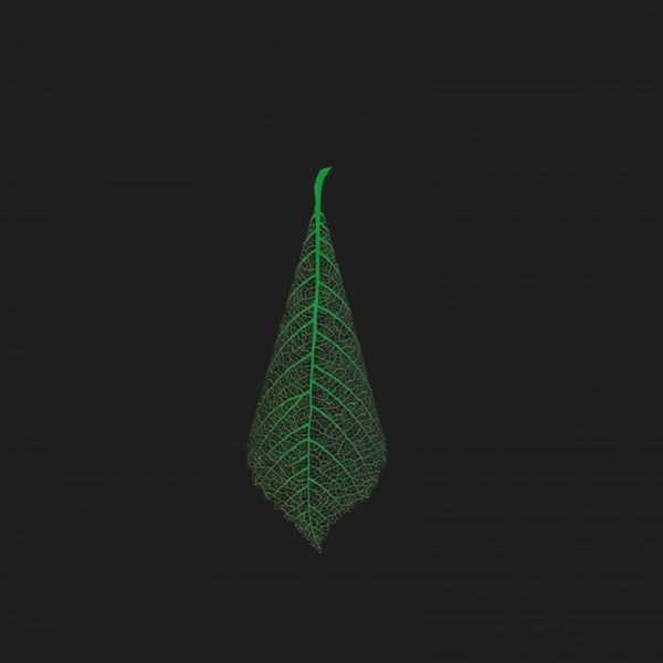 Souleaf Lamp Shade ''Elm'' - Image 3