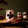 CARDLE Candle Holder Greeting Card - Robin - Image 4