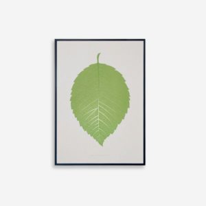 Souleaf Wall Art ''Elm''