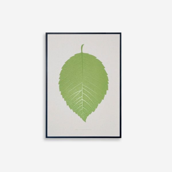 Souleaf Wall Art ''Elm''