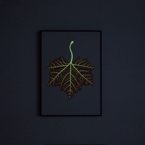 Souleaf Wall Art ''Platanus'' - Image 2