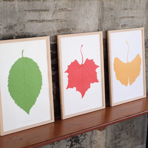 Souleaf Wall Art ''Elm'' - Image 4
