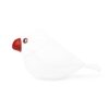 Java Sparrow White Mini Paperweight 120gr - Image 2