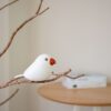 Java Sparrow White Mini Paperweight 120gr - Image 5