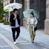 Shupatto One-Pull Closing Umbrella 58cm - Citron Yellow - Image 7